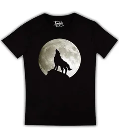 волк на скале